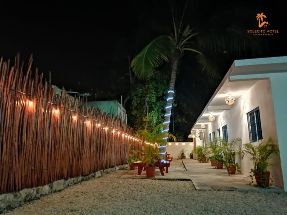Hotel Apartaments Solecito Bacalar - Free Bikes & Paddle Extérieur photo